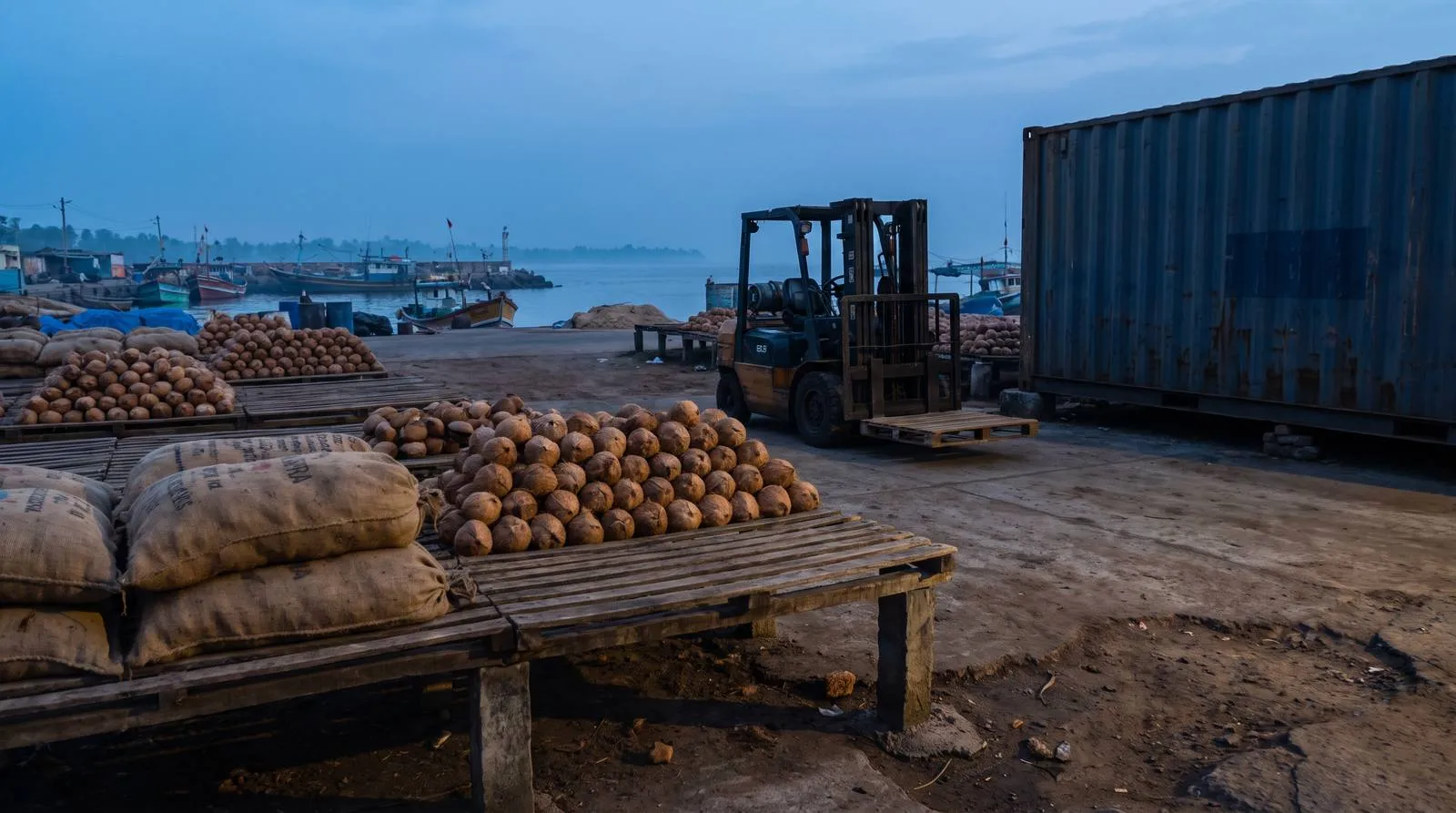 India as a Coconut Origin: Kerala, Tamil Nadu, Export Readiness